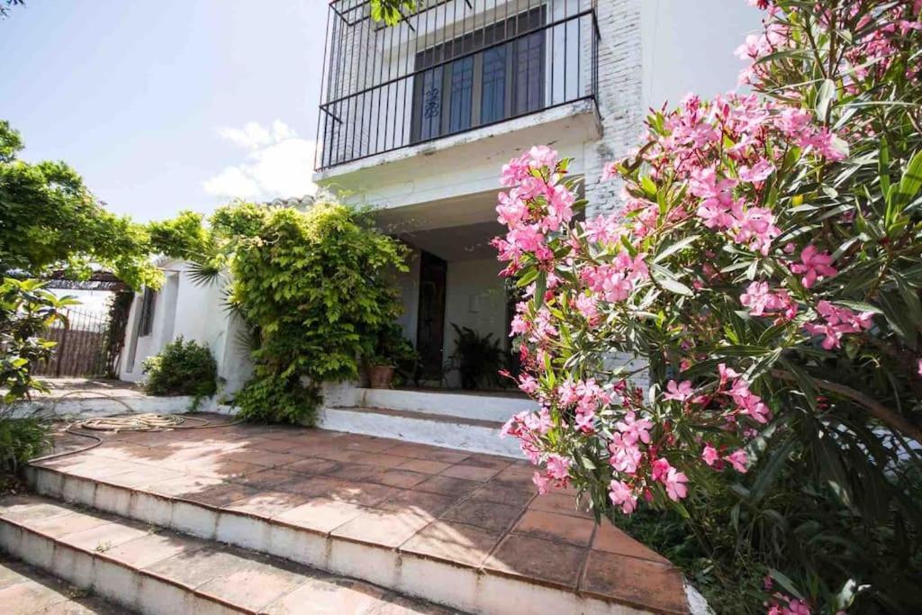 Cortijo Nerja Artist Paradise Luaran gambar