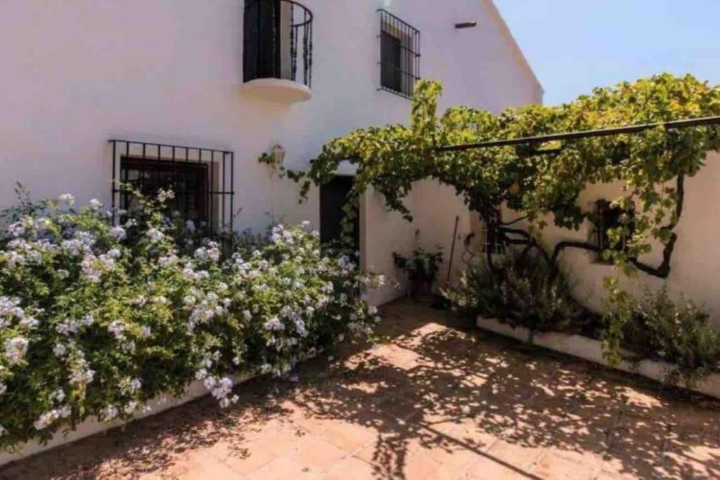 Cortijo Nerja Artist Paradise Luaran gambar