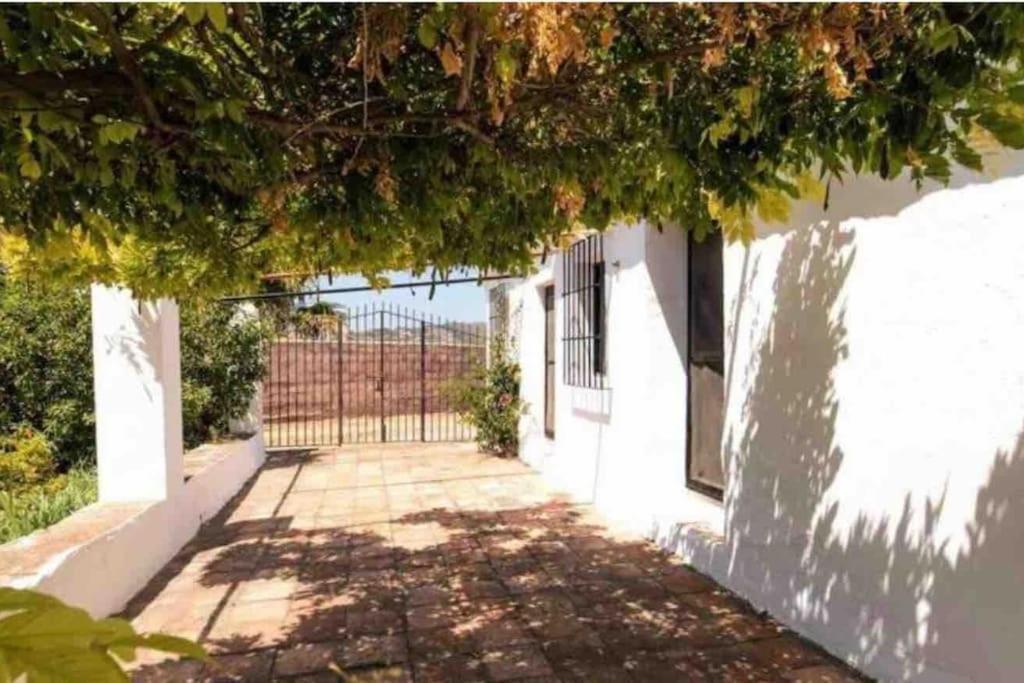Cortijo Nerja Artist Paradise Luaran gambar