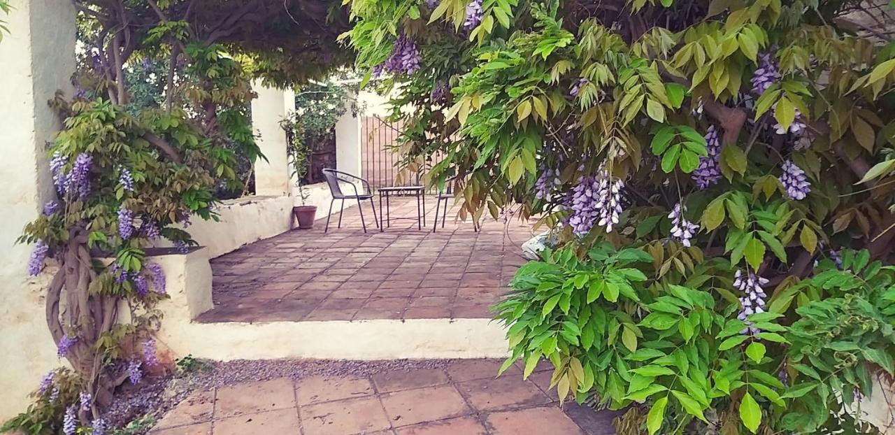 Cortijo Nerja Artist Paradise Luaran gambar