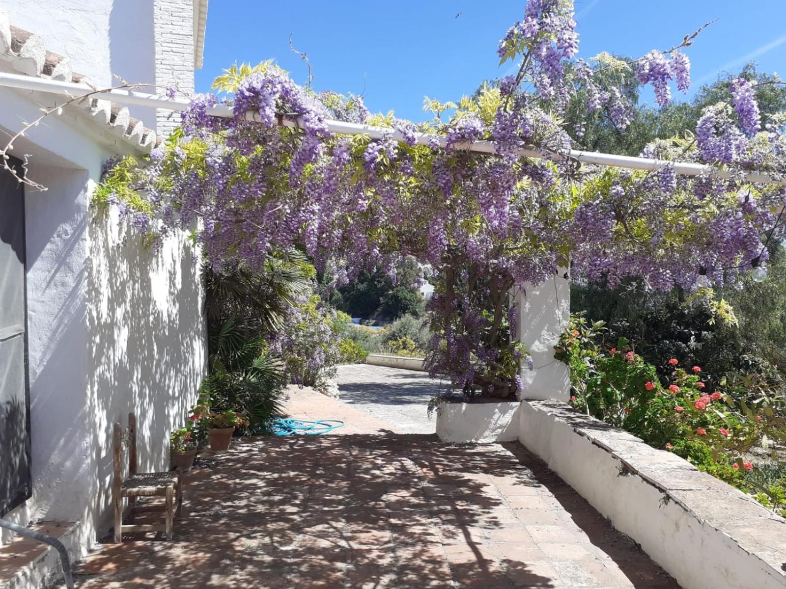Cortijo Nerja Artist Paradise Luaran gambar