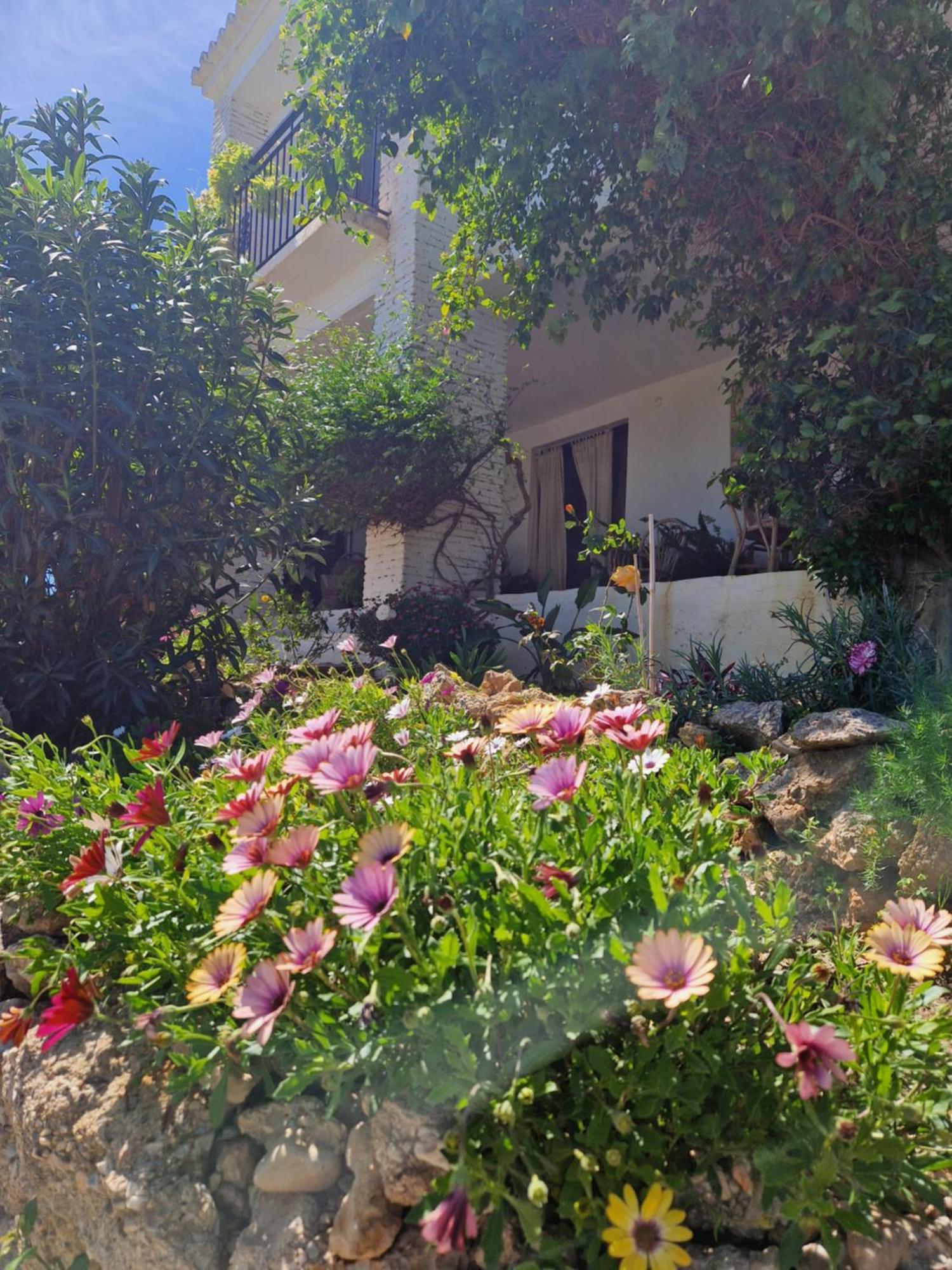 Cortijo Nerja Artist Paradise Luaran gambar