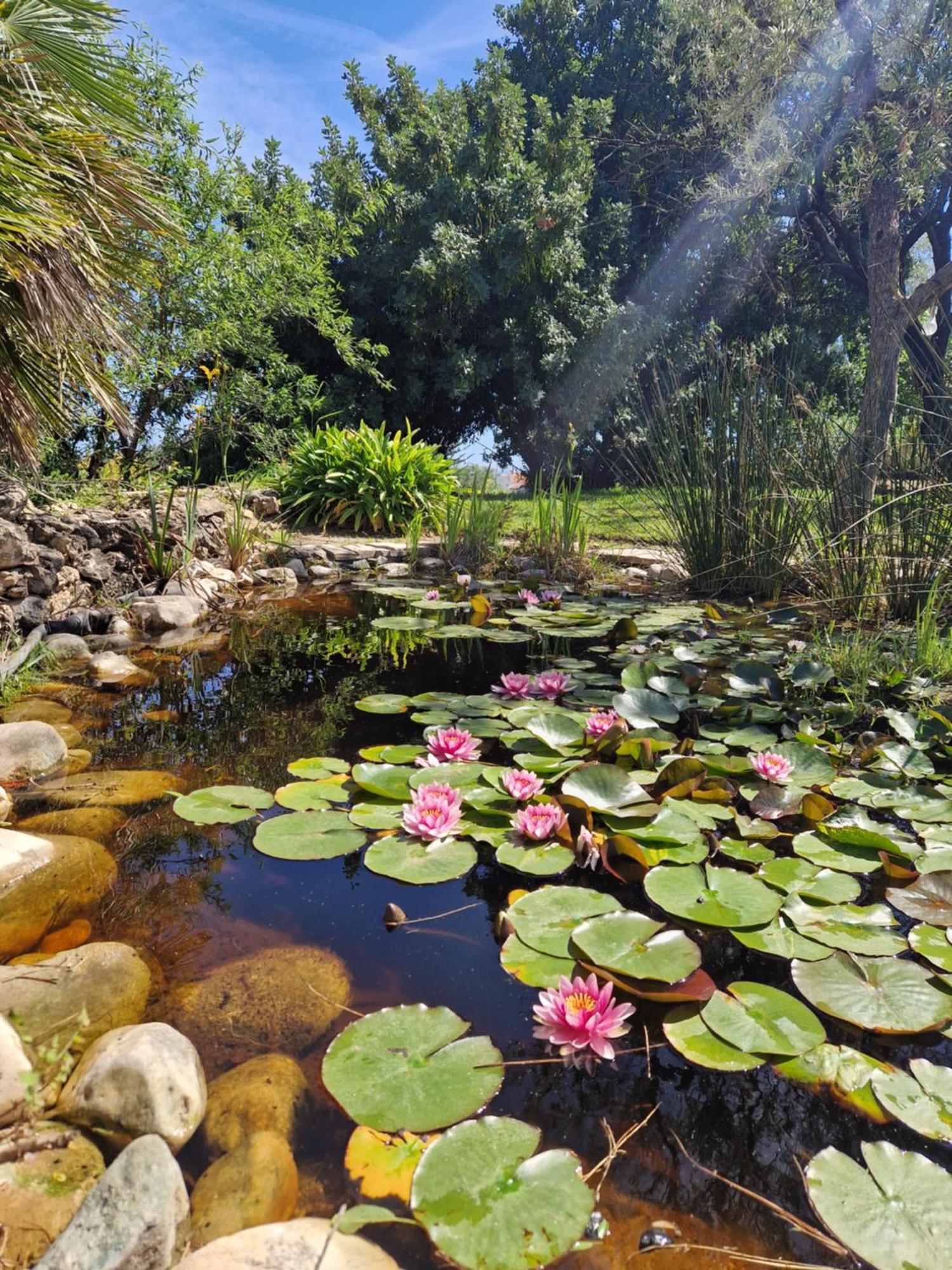 Cortijo Nerja Artist Paradise Luaran gambar